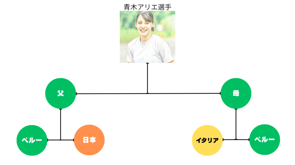 青木アリエ選手と両親の国籍や家族の国籍の図解